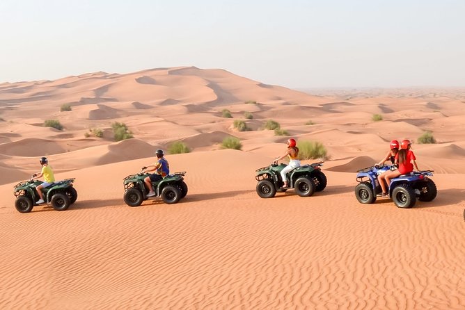 Car & Camel Desert Ride