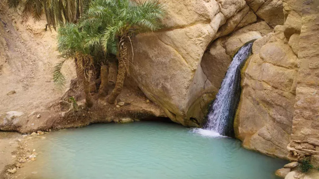 Tozeur Oasis Weekend Escape