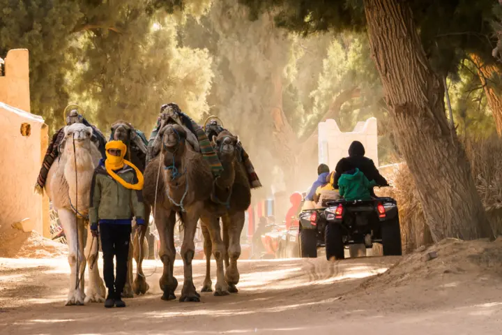 Douz Desert Adventure Tour