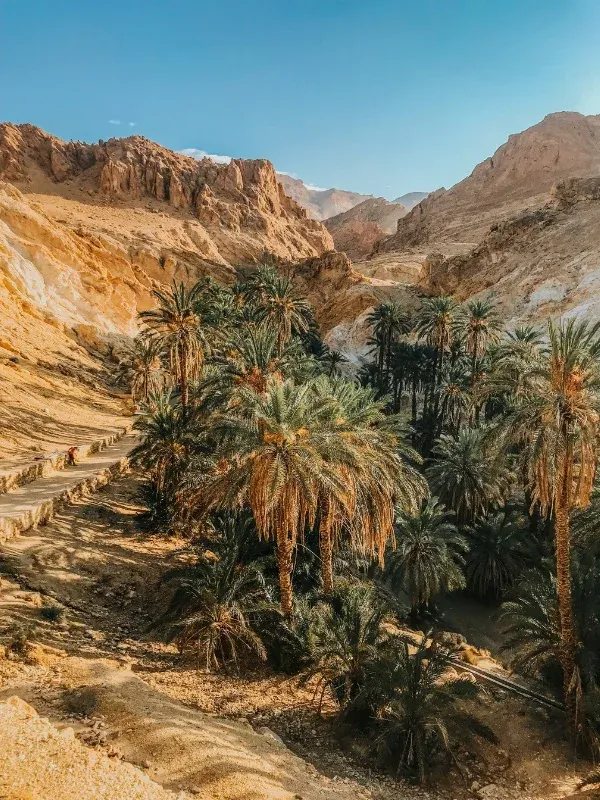 oasis de montagne